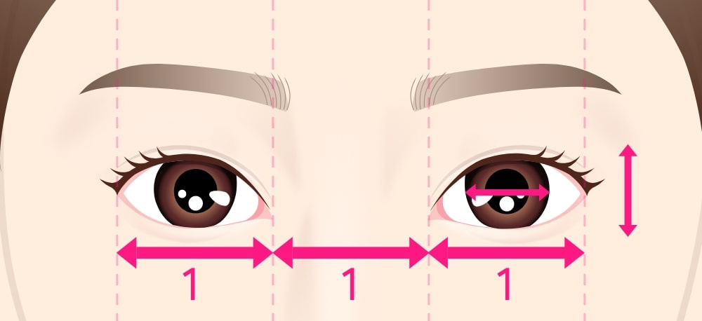 美人顔の黄金比